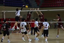 赌场服务：VIP 积分返点制度的长期成本。（赌场VIP积分返点体系的长期成本分析）